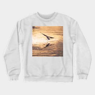 Gull on Ice Crewneck Sweatshirt